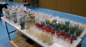 IMG01239.jpg