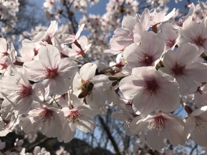 IMG_4578.jpg