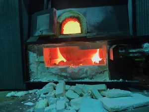 IMG_5274.jpg