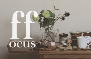 focus2.1.jpg
