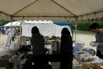 PA314100a.jpg