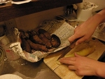 PA285323.jpg