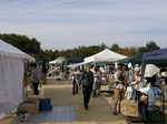 PA295347.jpg