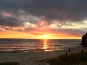 image1.jpeg
